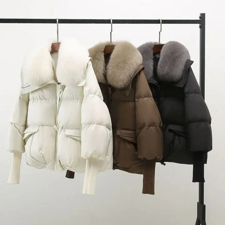Winter Coat with Luxurious Fur Collar